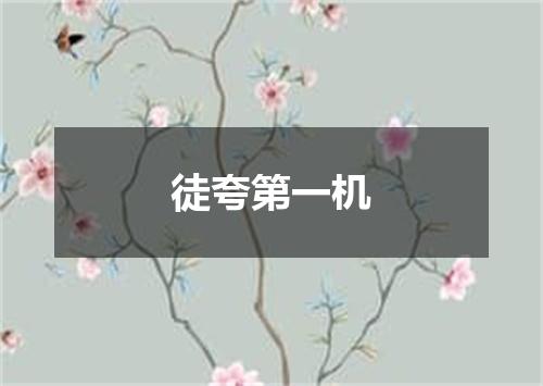 徒夸第一机