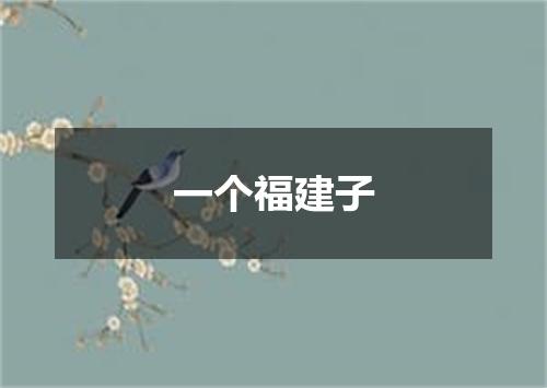 一个福建子