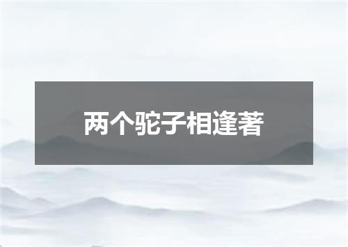 两个驼子相逢著