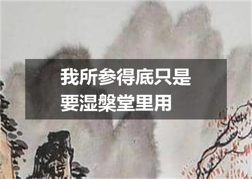 我所参得底只是要湿槃堂里用