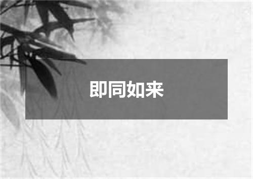 即同如来