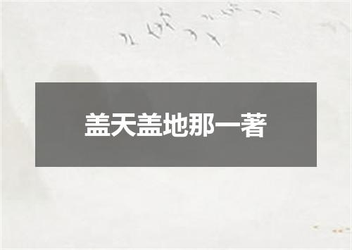 盖天盖地那一著