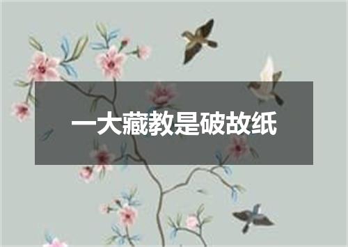一大藏教是破故纸