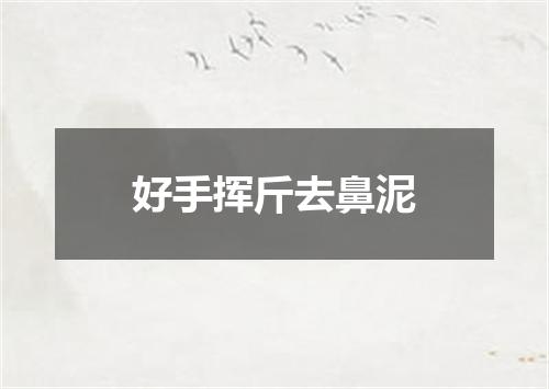 好手挥斤去鼻泥