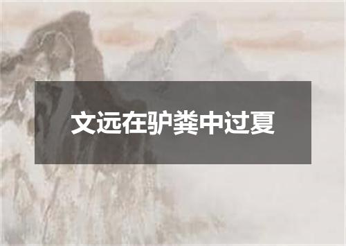文远在驴粪中过夏