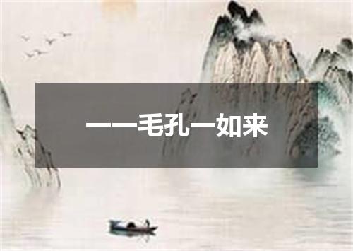 一一毛孔一如来