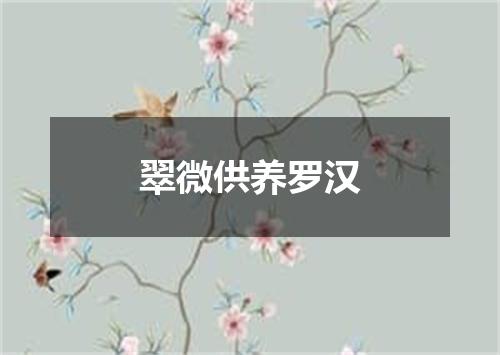 翠微供养罗汉