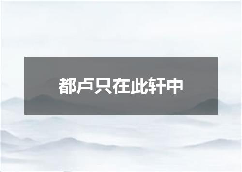 都卢只在此轩中
