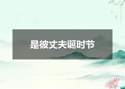 是彼丈夫诞时节