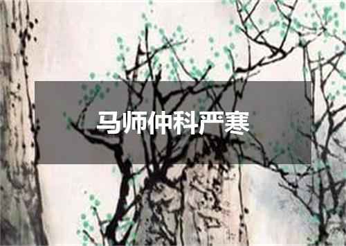 马师仲科严寒