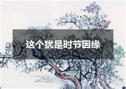 这个犹是时节因缘