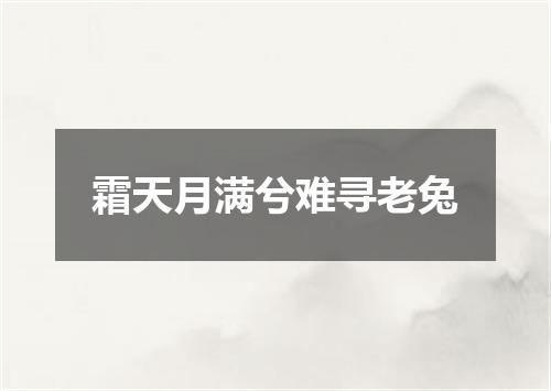 霜天月满兮难寻老兔
