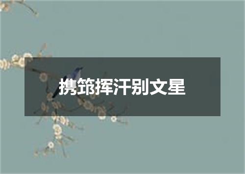 携筇挥汗别文星