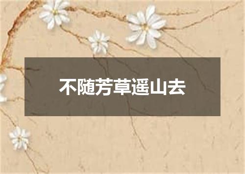 不随芳草遥山去