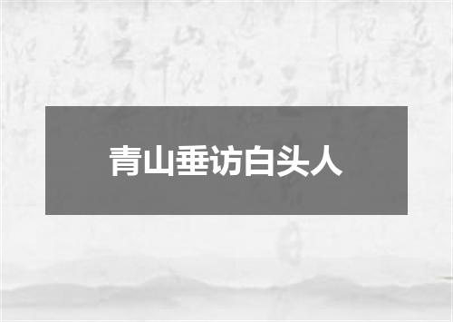 青山垂访白头人