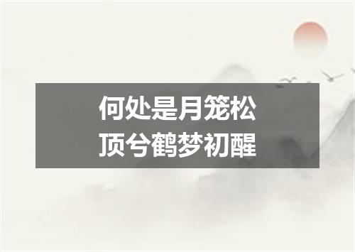 何处是月笼松顶兮鹤梦初醒