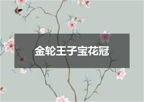 金轮王子宝花冠