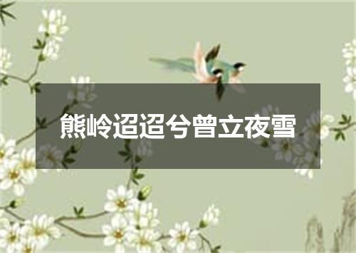 熊岭迢迢兮曾立夜雪