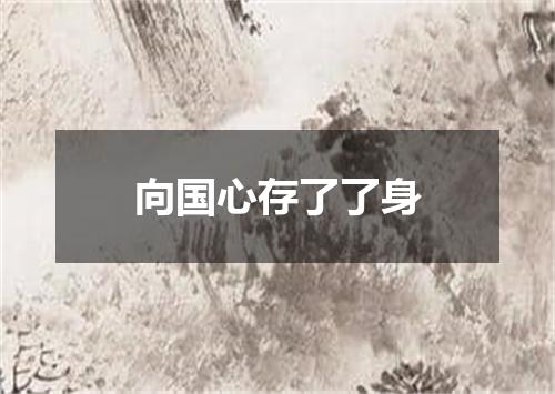向国心存了了身