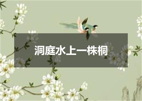 洞庭水上一株桐