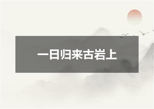 一日归来古岩上