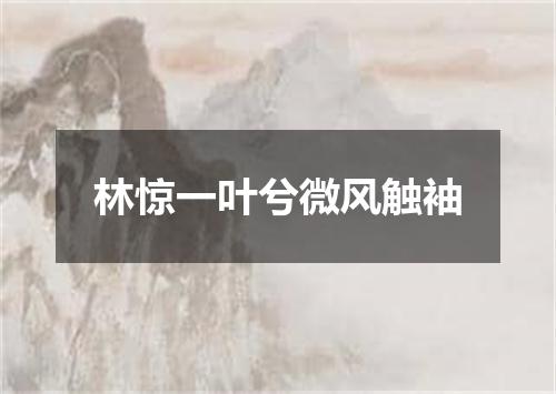 林惊一叶兮微风触袖