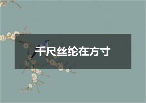 千尺丝纶在方寸