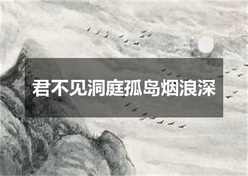 君不见洞庭孤岛烟浪深