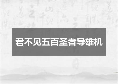 君不见五百圣者导雄机