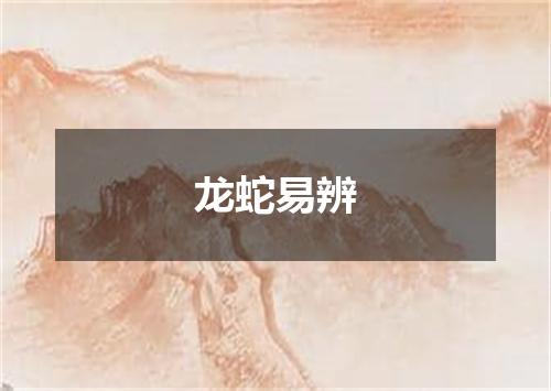 龙蛇易辨