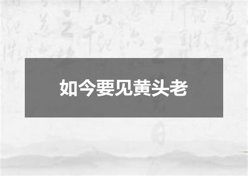 如今要见黄头老