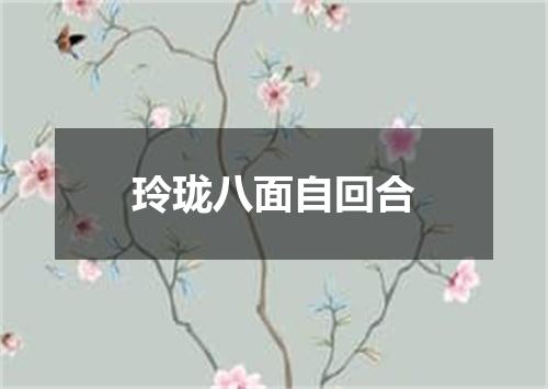 玲珑八面自回合