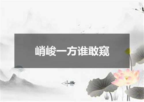 峭峻一方谁敢窥