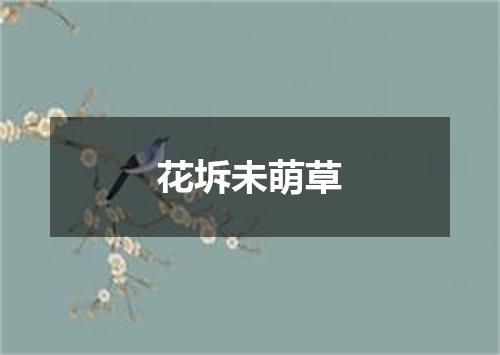 花坼未萌草