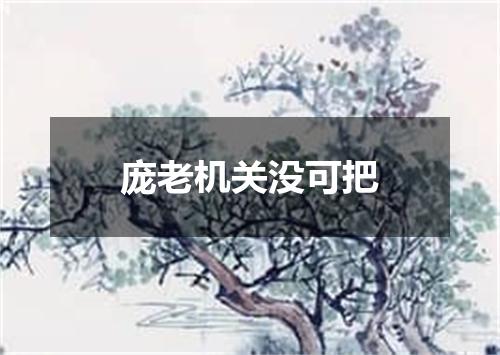庞老机关没可把