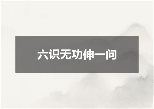六识无功伸一问