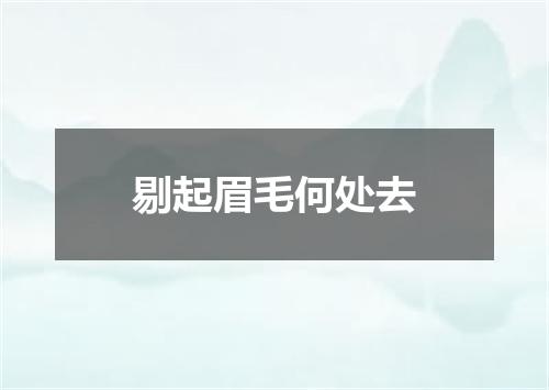剔起眉毛何处去