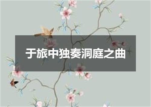 于旅中独奏洞庭之曲