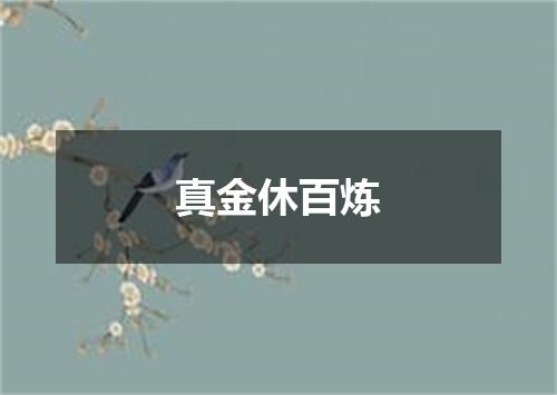 真金休百炼