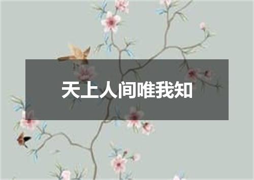 天上人间唯我知
