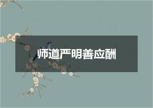 师道严明善应酬