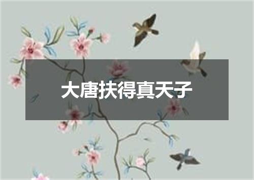 大唐扶得真天子