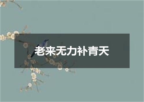 老来无力补青天