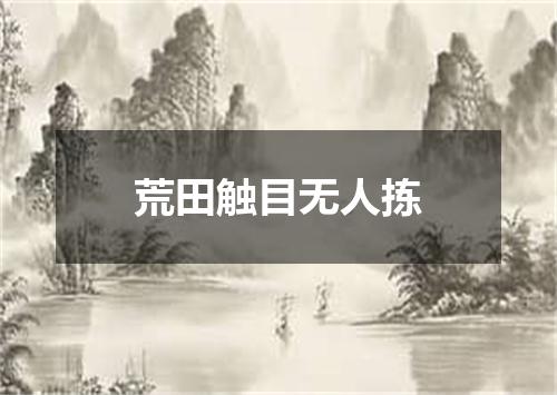 荒田触目无人拣