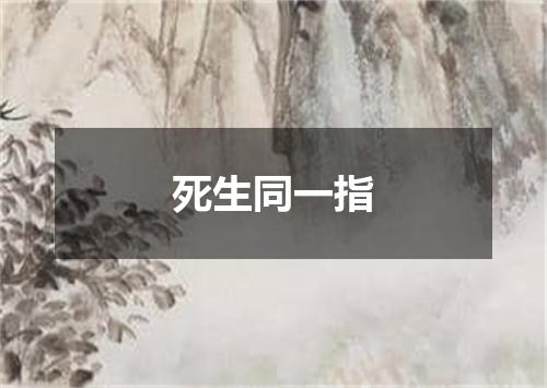 死生同一指