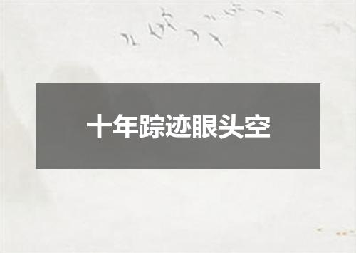 十年踪迹眼头空