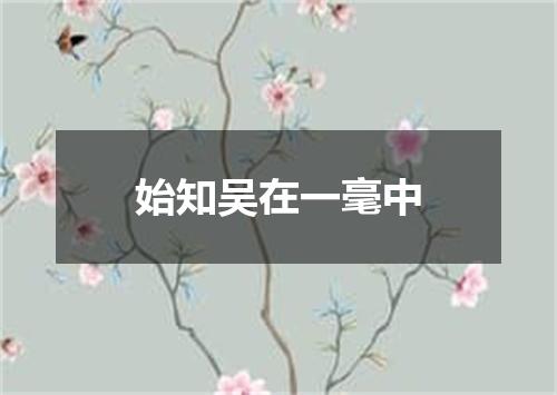 始知吴在一毫中