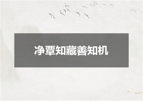 净覃知藏善知机