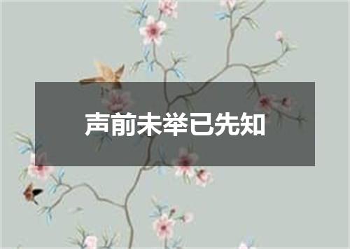 声前未举已先知
