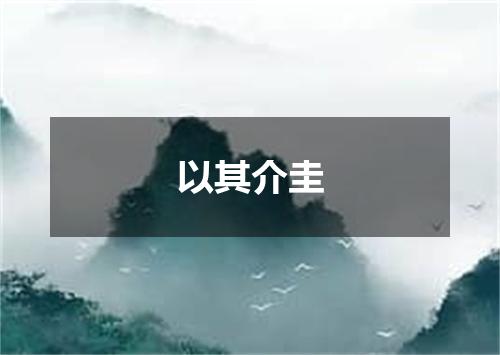 以其介圭